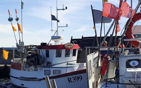 Benna - 120M from the Sea: Boot, Watercraft, Schiff, Boote Und Boating - Geräte Und Materialien, Schiffsbau, Meer, Hafen, Hafen, Yachthafen