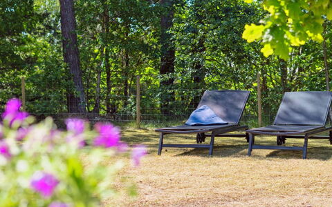 Malou - 350M from the Sea: Möbel, Gartenmöbel, Pflanzengemeinschaft, Sonnenlicht, Ground, Schatten, Wald, Naturschutzgebiet, Garten, Wald
