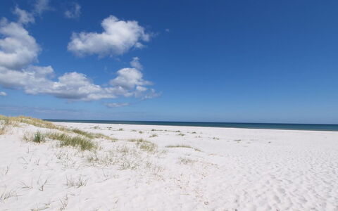 Jose - 300M from the Sea: Dach, Haus, Grundstueck, Zuhause, Hütte, Estate, Gartenbauten, Schatten, Blockhaus, Landscaping