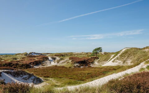 Elza - 800M from the Sea: Himmel, Ökoregion, Terrain, Horizont, Landschaft, Pflanzengemeinschaft, Wildnis, Shrubland, Geologie, Steigung