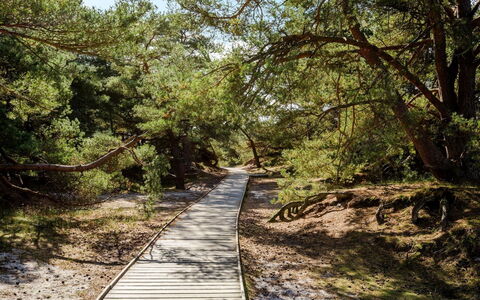 Elza - 800M from the Sea: Dach, Haus, Grundstueck, Zuhause, Hütte, Estate, Gartenbauten, Schatten, Blockhaus, Landscaping