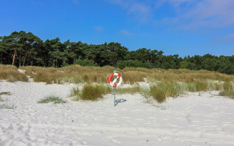 Gunder - 125M from the Sea: Möbel, Interior Design, Stuhl, Flooring, Tabelle, Resort, Fussboden, Decke, Zimmer, Eco Hotel