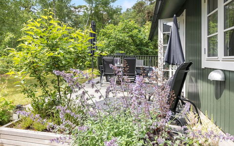 Tume - 200M from the Sea: Strauch, Garten, Pflanzengemeinschaft, Ground, Hinterhof, Garten, Landscaping, Schatten, Zaun, Outdoor Struktur