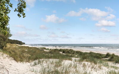 Tume - 200M from the Sea