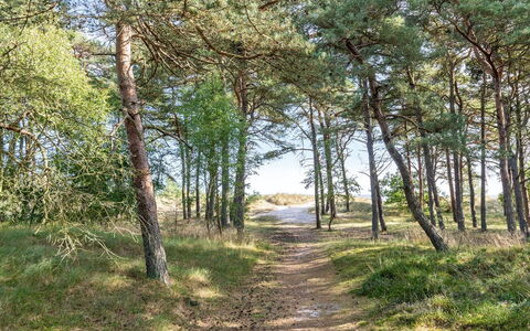 Selvi - 125M from the Sea: Dach, Haus, Zuhause, Hütte, Abstellgleis, Estate, Auffahrt, Gartenbauten, Garten, Schuppen