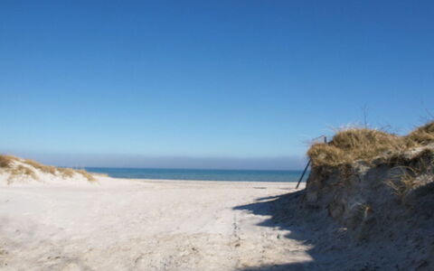 Elisabeth - 400M from the Sea: Schwimmbad, Gartenmöbel, Möbel, Resort, Flagstone, Eco Hotel, Schatten, Stuhl, Freizeit, Estate