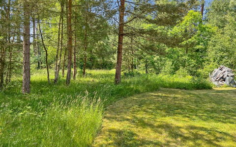 Ila - 500M from the Sea: Grün, Gras, Baum, Blatt, Natürlichen Umgebung, Natürliche Landschaft, Vegetation, Wiese, Sommer, Strauch