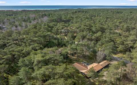 Gaja - 1Km from the Sea: Landschaft, Ökoregion, Grundstueck, Wald, Vogelperspektive, Luftaufnahmen, Plantage, Dschungel, Chaparral, Regenwald