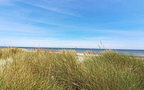 Gaja - 1Km from the Sea: Blau, Horizont, Ökoregion, Küste, Küsten Und Ozeanische Forms, Meer, Strand, Ufer, Ozean