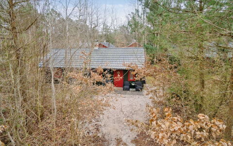 Blakke - 250M from the Sea: Baum, Holz, Ast, Dach, Hütte, Ländliches Gebiet, Schuppen, Gartenbauten, Auffahrt, Wald
