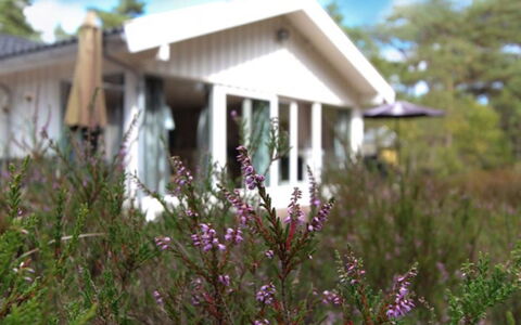 Minka - 1.5Km from the Sea: Blume, Strauch, Hütte, Zuhause, Garten, Ground, Frühling, Wild, Landscaping, Garten