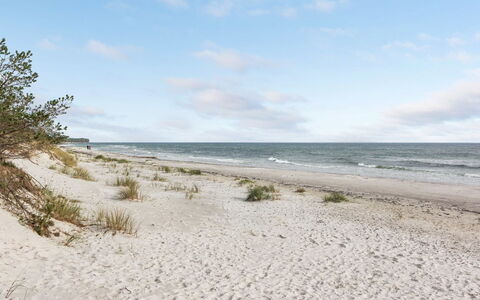 Fastulf - 300M from the Sea: Gras, Holz, Ländliches Gebiet, Strauch, Hütte, Dach, Einfach, Grundstueck, Zuhause, Ground