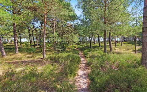Læff - 50M from the Sea: Holz, Haus, Hütte, Zuhause, Dach, Ländliches Gebiet, Abstellgleis, Blockhaus, Gartenbauten, Hartholz