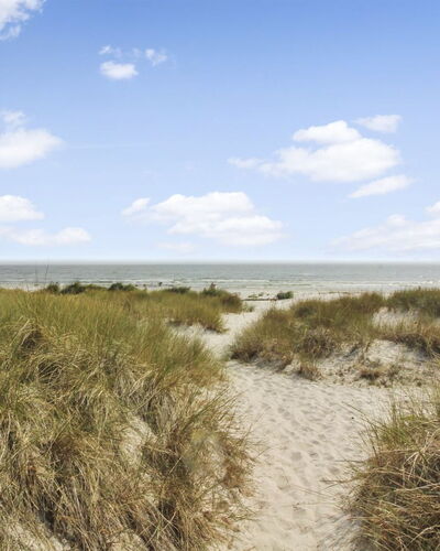 Mikkelina - 700M from the Sea