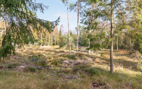 Jaarne - 800M from the Sea: Holz, Haus, Hütte, Zuhause, Dach, Ländliches Gebiet, Abstellgleis, Blockhaus, Gartenbauten, Hartholz