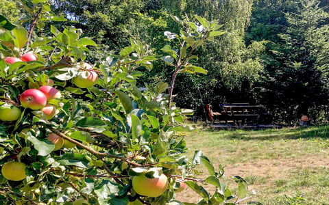 Hannele - 200M from the Sea: Dach, Haus, Grundstueck, Zuhause, Hütte, Estate, Gartenbauten, Schatten, Blockhaus, Landscaping