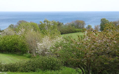 Iikka - 300M from the Sea: Holz, Haus, Hütte, Zuhause, Dach, Ländliches Gebiet, Abstellgleis, Blockhaus, Gartenbauten, Hartholz