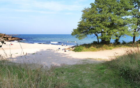 Tinne - 400M from the Sea: Küste, Sommer, Ufer, Strand, Küsten Und Ozeanische Forms, Meer, Sand, Ozean, Tropen, Bucht