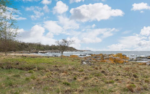 Ensio - 150M from the Sea: Himmel, Blau, Wolke, Vegetation, \Fels, Ökoregion, Horizont, Küste, Pflanzengemeinschaft, Wiese