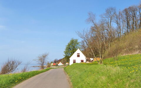 Uschi - 15M from the Sea: Gebäude, Haus, Fenster, Zuhause, Dach, Wohngebiet, Strauch, Hütte, Grundstueck