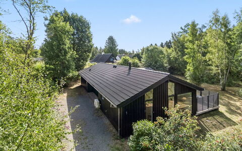 Ellin - 800M from the Sea: Holz, Dach, Die Architektur, Zuhause, Haus, Hütte, Abstellgleis, Hartholz, Steigung, Estate