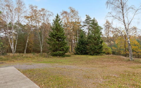 Gerty - 300M from the Sea: Dach, Haus, Zuhause, Hütte, Abstellgleis, Estate, Auffahrt, Gartenbauten, Garten, Schuppen