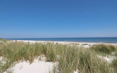 Farina - 150M from the Sea