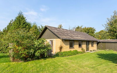 Iiris - 1.2Km from the Sea
