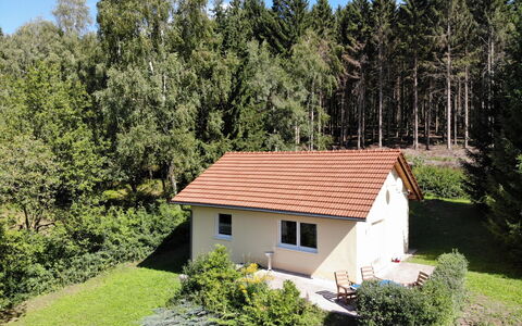 Konrad: Pflanze, Eigentum, Pflanzengemeinschaft, Natur, Himmel, Gebäude, Blatt, Haus, Fenster, Baum