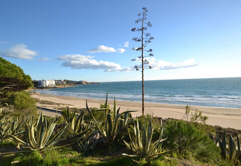 Salou 705: Wasser, Himmel, Eigentum, Baum, Gebäude, Schwimmbad, Azurblau, Gewässer, Freizeit, Urban Design