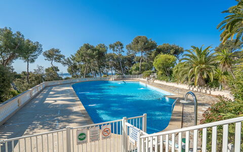 Mont des Oiseaux: Schwimmbad, Bauernhaus, Estate, Villa, Resort, Hazienda, Eco Hotel, Hinterhof