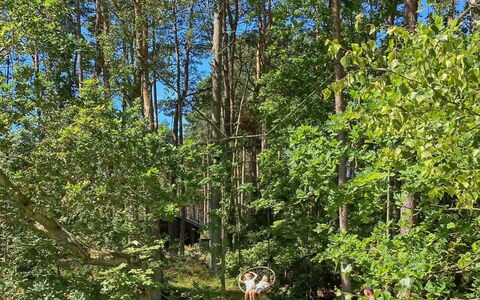 Meret - 800M from the Sea: Blatt, Baum, Natürlichen Umgebung, Holz, Vegetation, Ast, Wald, Pflanzengemeinschaft, Dschungel, Kofferraum