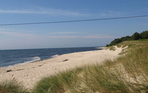 Meret - 800M from the Sea: Gewässer, Küste, Strand, Küsten Und Ozeanische Forms, Ufer, Meer, Sommer, Sand, Bank