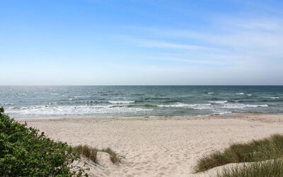 Aave - 800M from the Sea