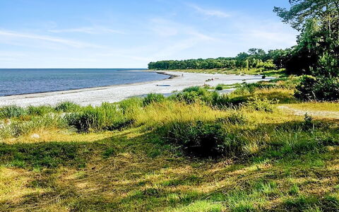 Anemette - 100M from the Sea: Wasser, Gewässer, Küste, Natürlichen Umgebung, Grün, Horizont, Küsten Und Ozeanische Forms, Ufer, Natürliche Landschaft, Strand