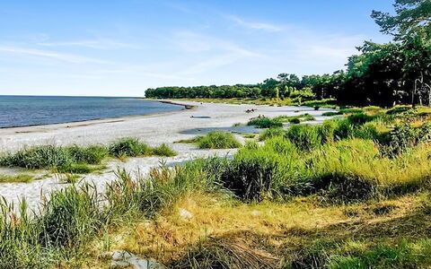 Anemette - 100M from the Sea: Wasser, Küste, Ufer, Küsten Und Ozeanische Forms, Strand, Meer, Bank, Ozean, Bucht, Sand