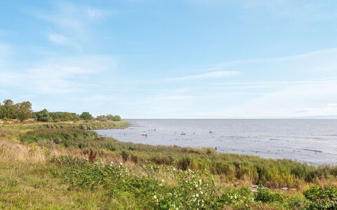 Julietta - 50M from the Sea: Haus, Zuhause, Dach, Hütte, Grundstueck, Estate, Bauernhaus, Dorf, Bauernhof