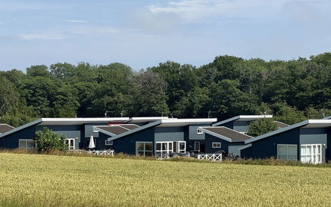 Helemine - 2.8Km from the Sea: Holz, Haus, Hütte, Zuhause, Dach, Ländliches Gebiet, Abstellgleis, Blockhaus, Gartenbauten, Hartholz