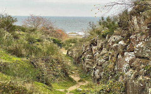 Ramona - 10M from the Sea: Holz, Haus, Hütte, Zuhause, Dach, Ländliches Gebiet, Abstellgleis, Blockhaus, Gartenbauten, Hartholz