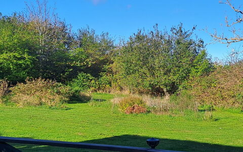 Amlethus - 375M from the Sea: Dach, Haus, Zuhause, Hütte, Abstellgleis, Estate, Auffahrt, Gartenbauten, Garten, Schuppen