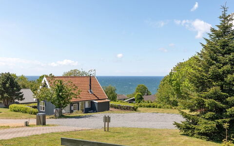 Lahja - 400M from the Sea: Vegetation, Strauch, Frühling, Hütte, Garten, Schatten, Hinterhof, Garten, Stuhl