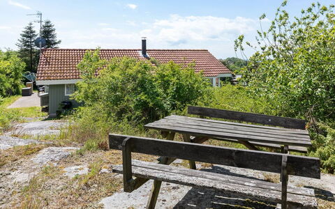 Lahja - 400M from the Sea: Vegetation, Strauch, Frühling, Hütte, Garten, Schatten, Hinterhof, Garten, Stuhl