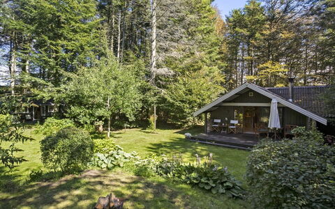 Iskra - 900M from the Sea: Haus, Hütte, Zuhause, Strauch, Dach, Garten, Grundstueck, Ground, Frühling