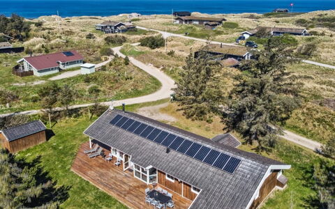 Aleta - 500M from the Sea: Pflanzengemeinschaft, Sonnenlicht, Krautige Pflanze, Garten, Plantage, Landwirtschaft, Bauernhof