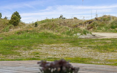 Aleta - 500M from the Sea: Pflanzengemeinschaft, Sonnenlicht, Krautige Pflanze, Garten, Plantage, Landwirtschaft, Bauernhof