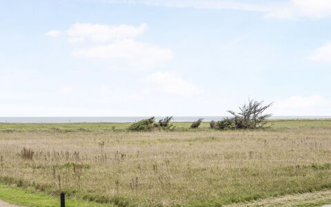 Into - 400M from the Sea: Himmel, Gras, Wiese, Horizont, Einfach, Ökoregion, Vegetation, Natürliche Landschaft, Wolke, Grundstueck