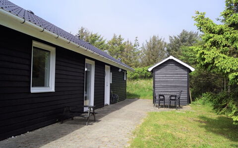 Aved - 350M from the Sea: Pflanzengemeinschaft, Sonnenlicht, Krautige Pflanze, Garten, Plantage, Landwirtschaft, Bauernhof