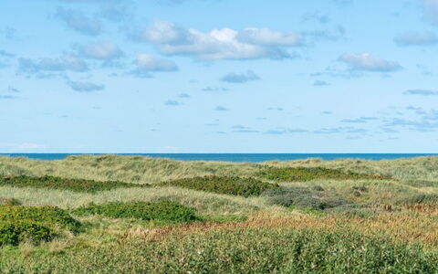 Anne - 100M from the Sea: Blau, Himmel, Gras, Natürlichen Umgebung, Wiese, Vegetation, Horizont, Ökoregion, Wolke, Natürliche Landschaft
