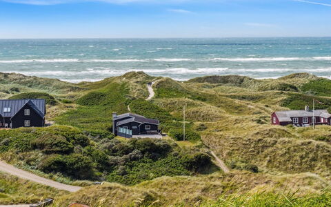 Alyssa - 300M from the Sea: Pflanzengemeinschaft, Sonnenlicht, Krautige Pflanze, Garten, Plantage, Landwirtschaft, Bauernhof