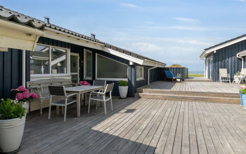 Alyssa - 300M from the Sea: Pflanzengemeinschaft, Sonnenlicht, Krautige Pflanze, Garten, Plantage, Landwirtschaft, Bauernhof